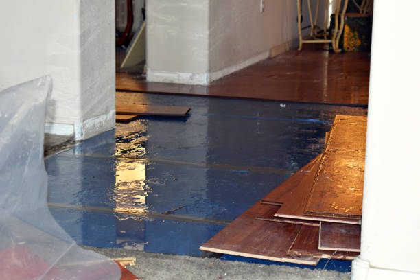 Professional Burst Pipe Cleanup technician working in Lyons, MI