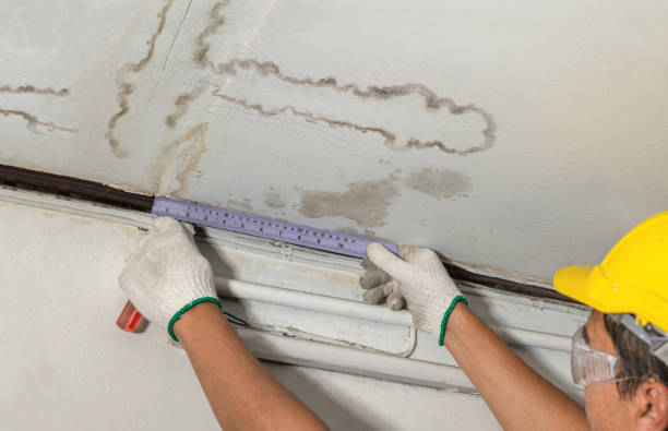 Reliable Burst Pipe Cleanup contractor in Lyons, MI by Water Damage Irwin